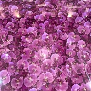 Meet your Posher, Julia